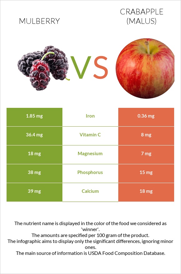 Mulberry vs Crabapple (Malus) infographic