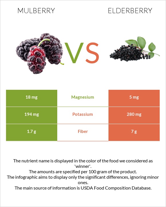 Mulberry vs Elderberry infographic