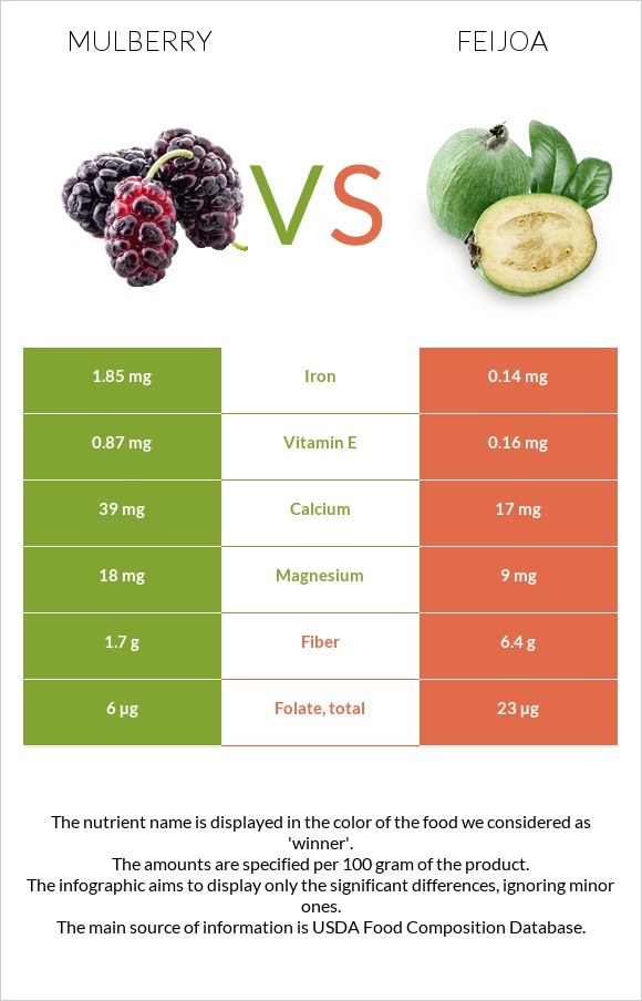 Mulberry vs Feijoa infographic