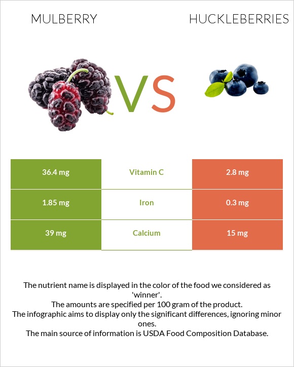 Mulberry vs Huckleberries infographic