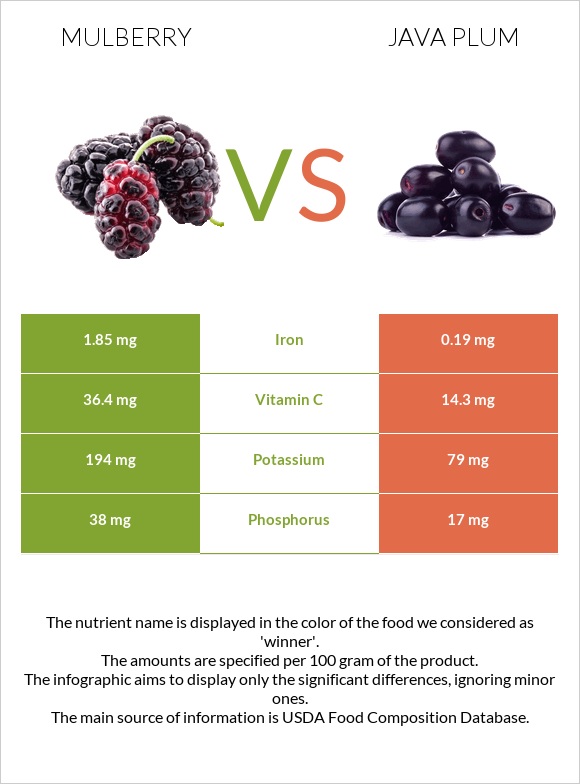 Mulberry vs Java plum infographic