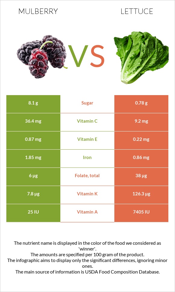 Mulberry vs Lettuce infographic