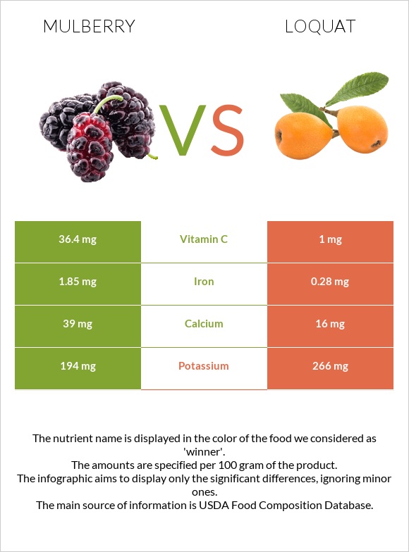 Mulberry vs Loquat infographic
