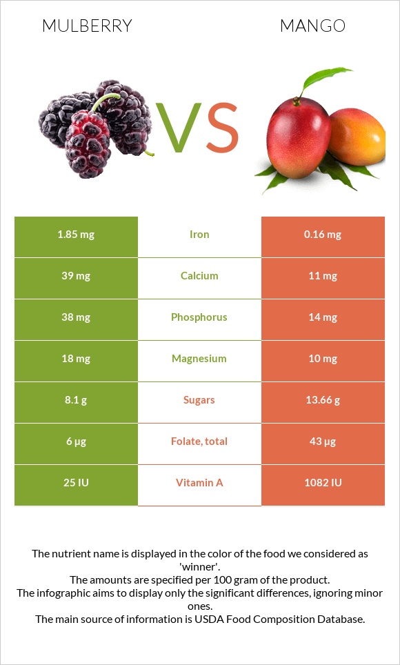 Mulberry vs Mango infographic