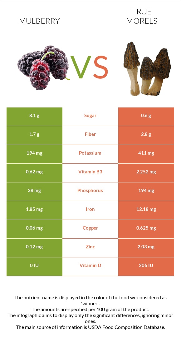 Mulberry vs True morels infographic