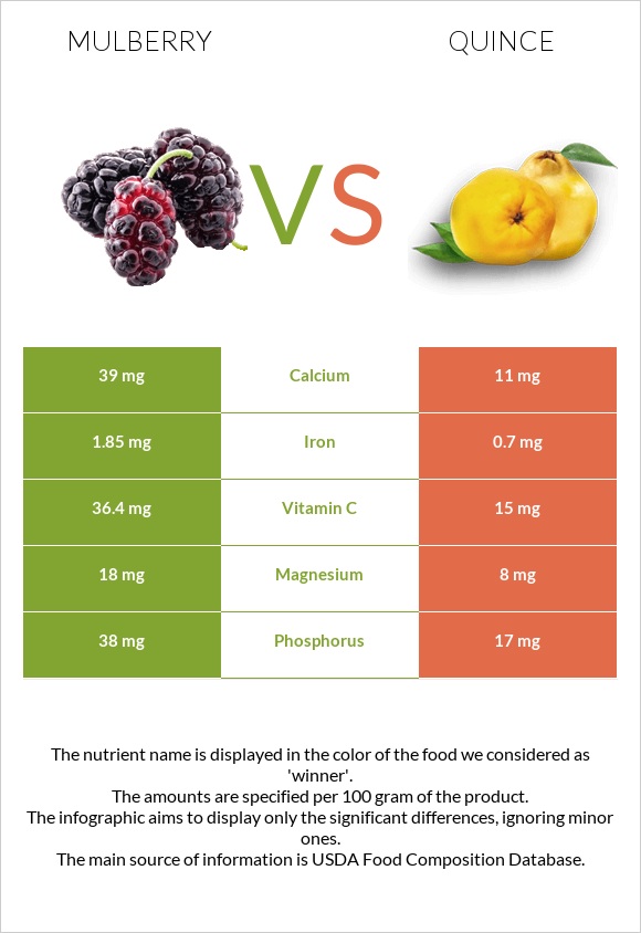 Mulberry vs Quince infographic