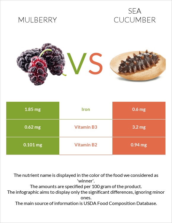 Mulberry vs Sea cucumber infographic
