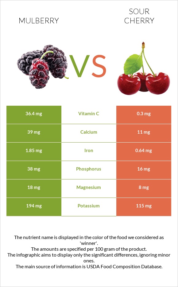Mulberry vs Sour cherry infographic