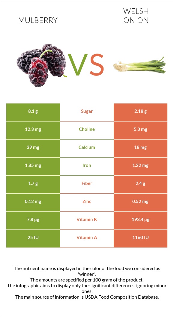 Mulberry vs Welsh onion infographic