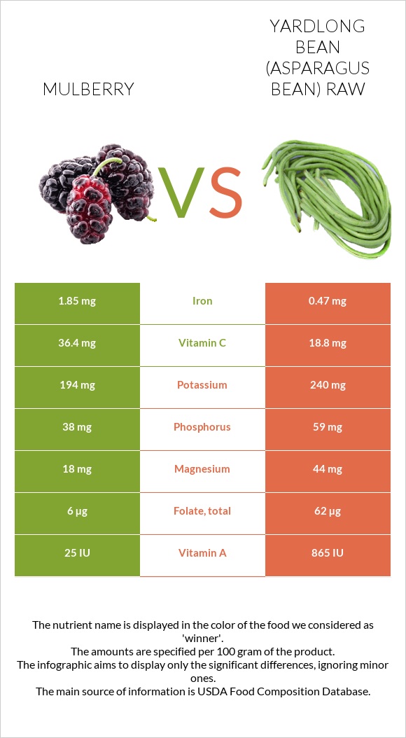 Mulberry vs Yardlong bean (Asparagus bean) raw infographic