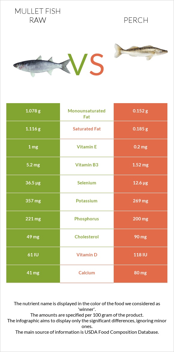 Mullet fish raw vs Perch infographic