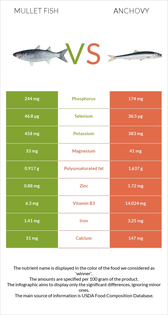 Mullet fish vs Anchovy infographic