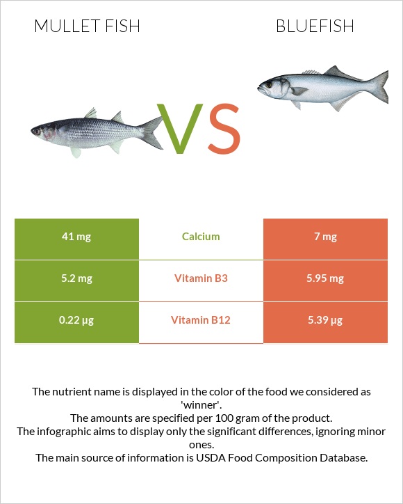 Mullet fish vs Bluefish infographic