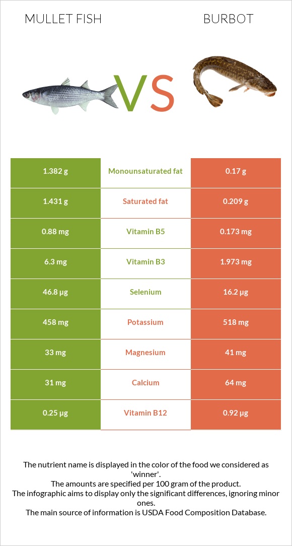 Mullet fish vs Burbot infographic