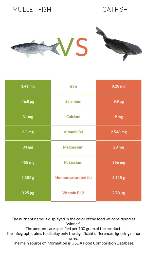 Mullet fish vs Catfish infographic