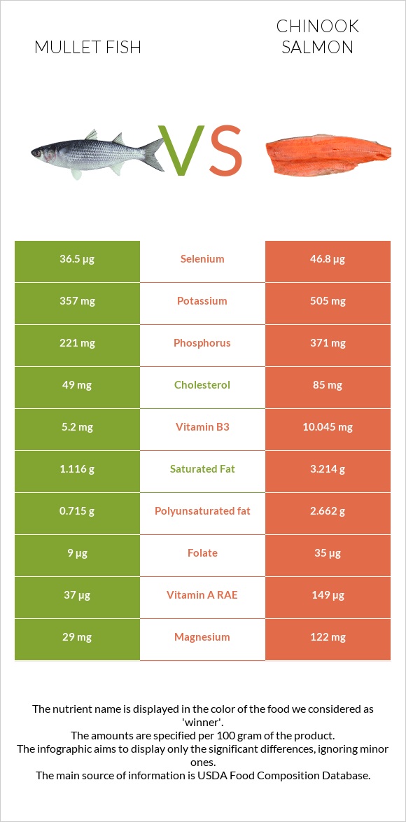 Mullet fish vs Սաղմոն չավիչա infographic