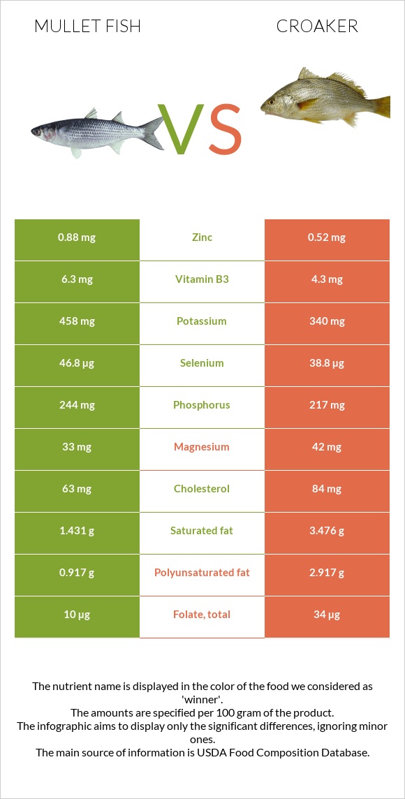 Mullet fish vs Croaker infographic