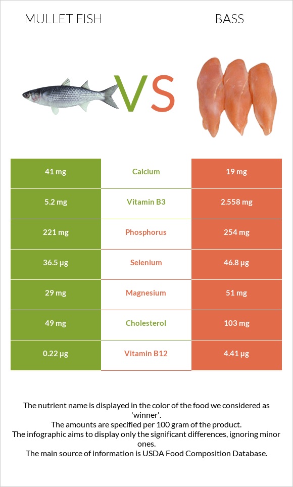 Mullet fish vs Bass infographic