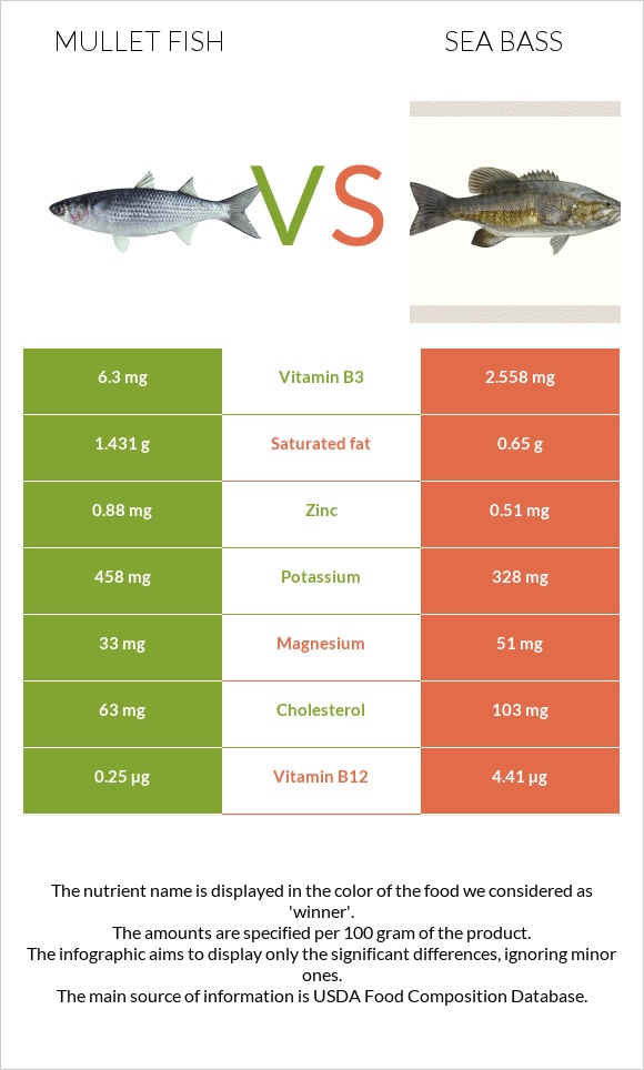 Mullet fish vs Bass infographic