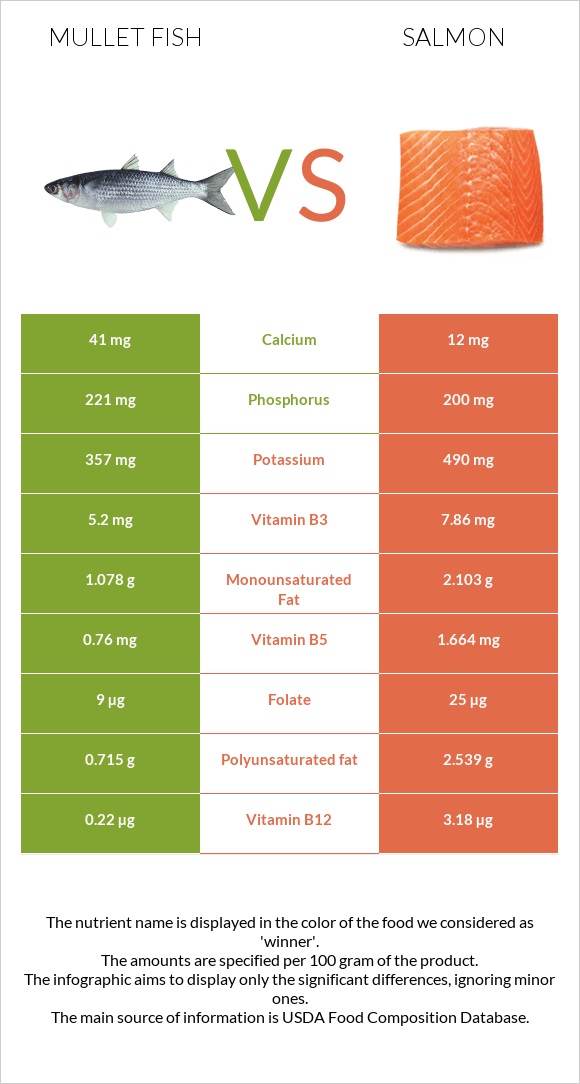 Mullet fish vs Salmon infographic