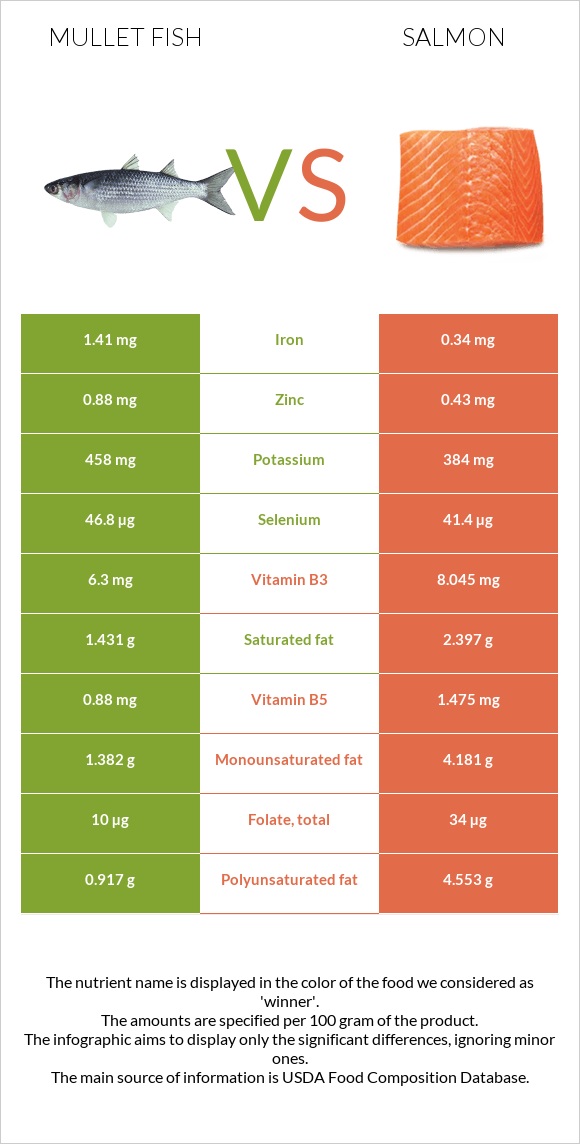 Mullet fish vs Salmon infographic