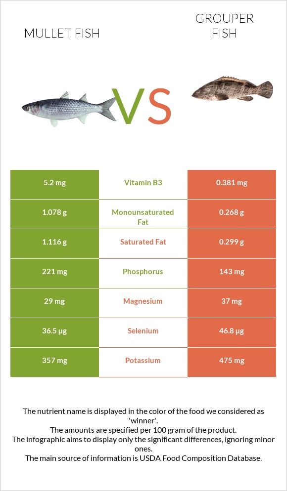 Mullet fish vs Grouper fish infographic