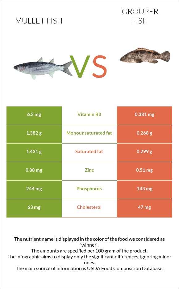 Mullet fish vs Grouper fish infographic