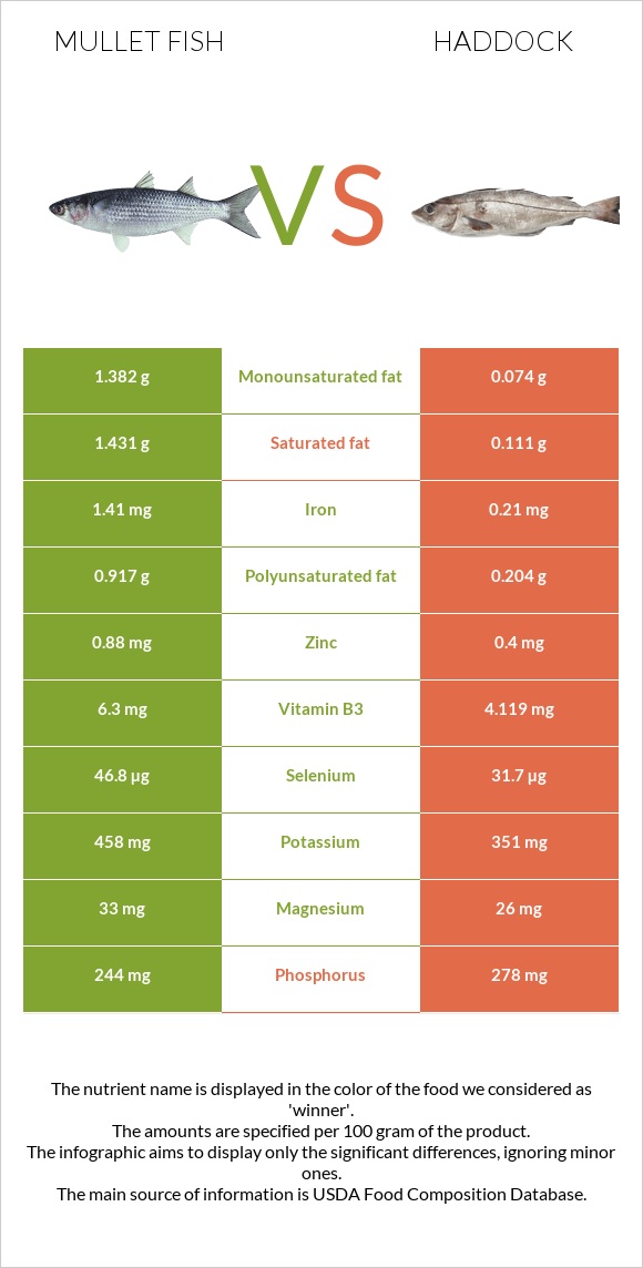 Mullet fish vs Haddock infographic