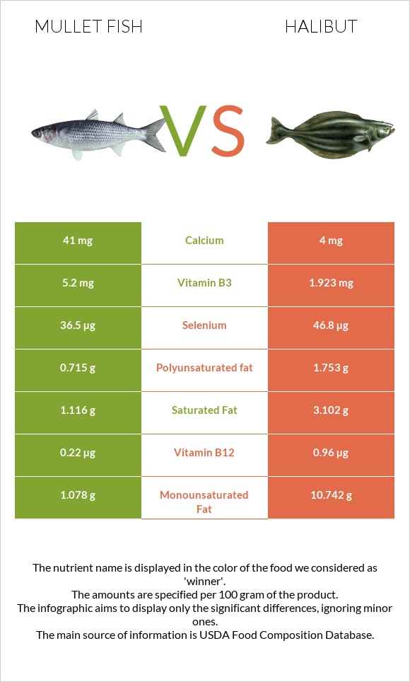 Mullet fish vs Halibut infographic