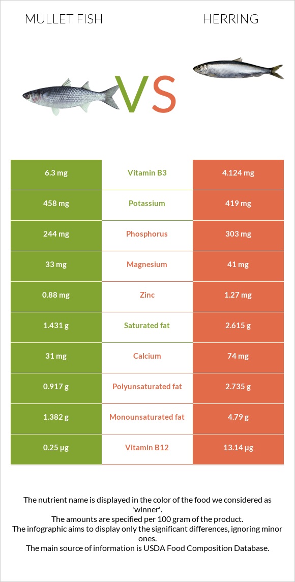 Mullet fish vs Herring infographic