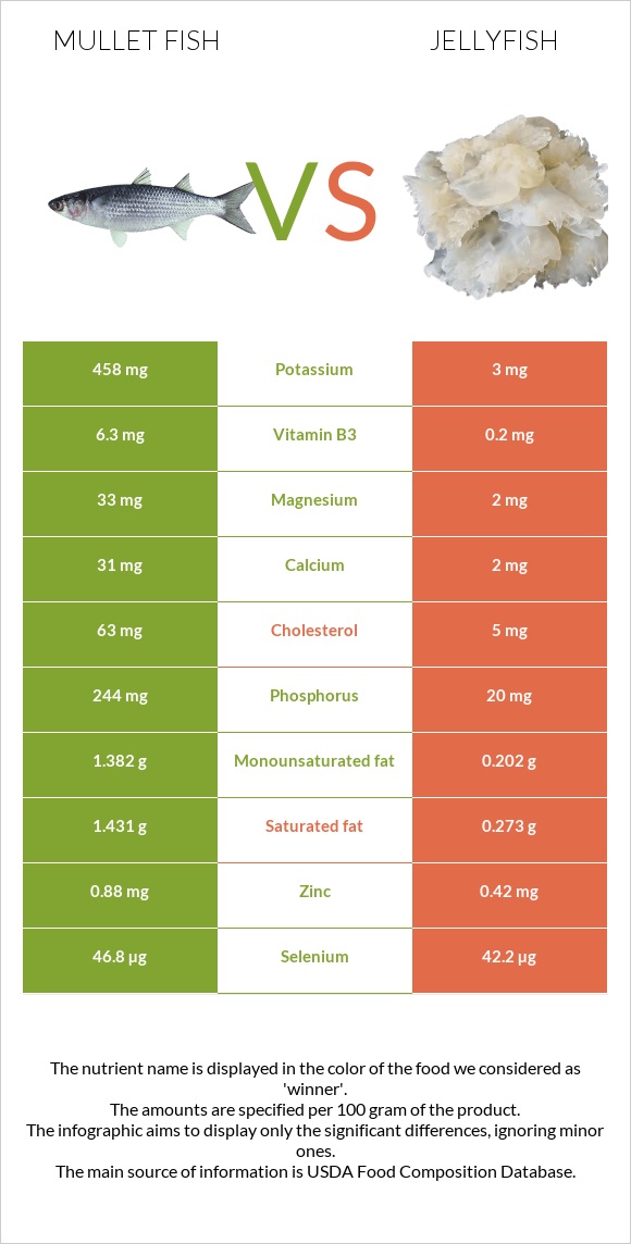 Mullet fish vs Jellyfish infographic