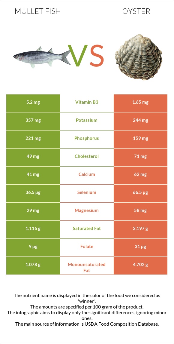 Mullet fish vs Ոստրե infographic