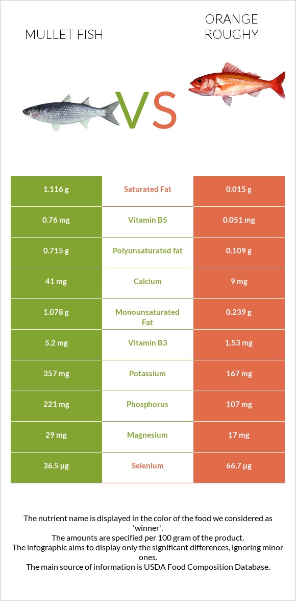 Mullet fish vs Orange roughy infographic