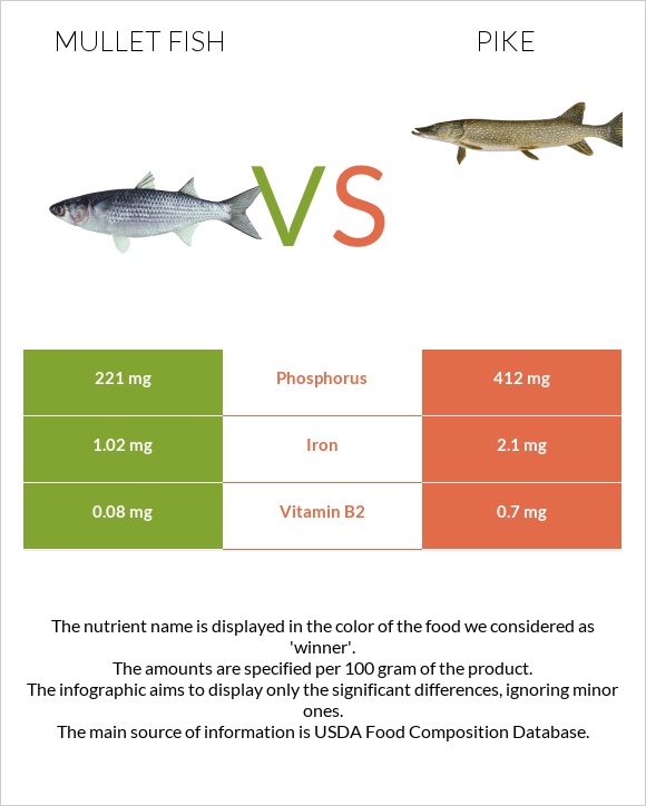 Mullet fish vs Pike infographic