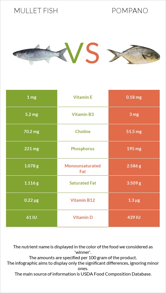 Mullet fish vs Pompano infographic