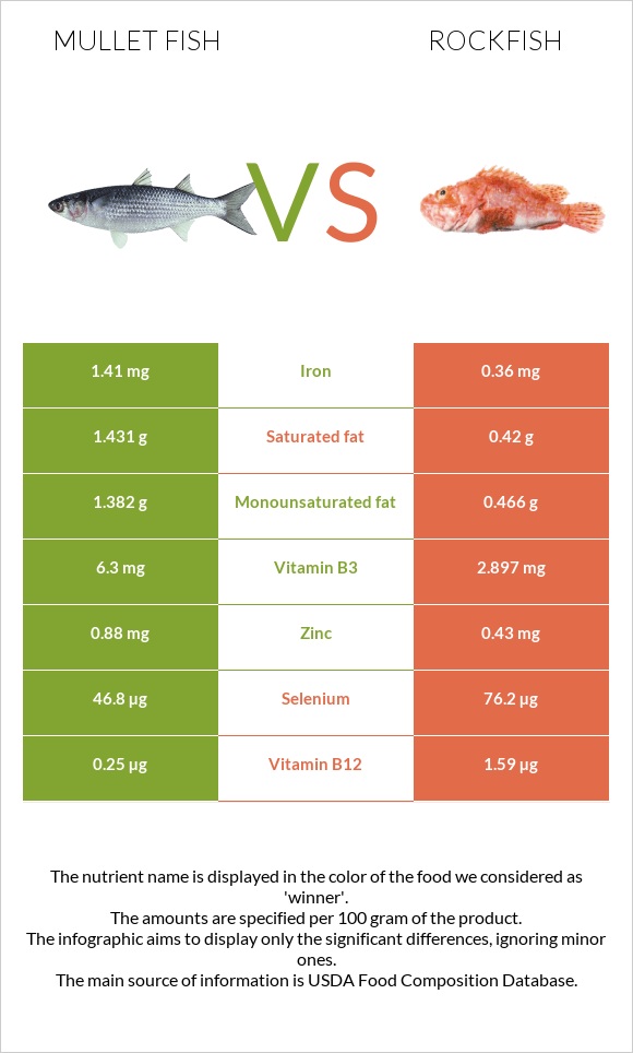 Mullet fish vs Rockfish infographic