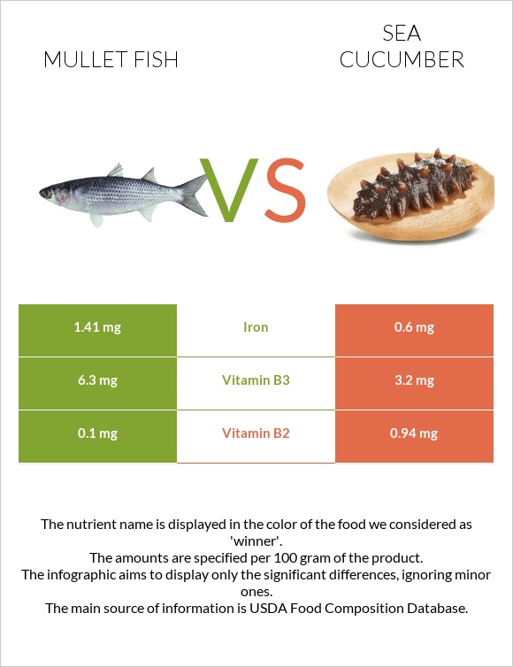 Mullet fish vs Sea cucumber infographic