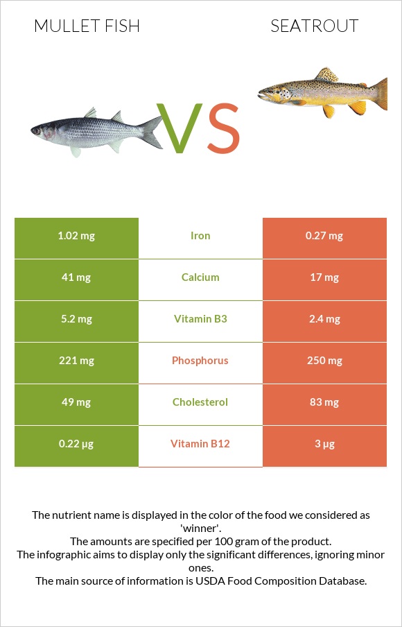 Mullet fish vs Seatrout infographic