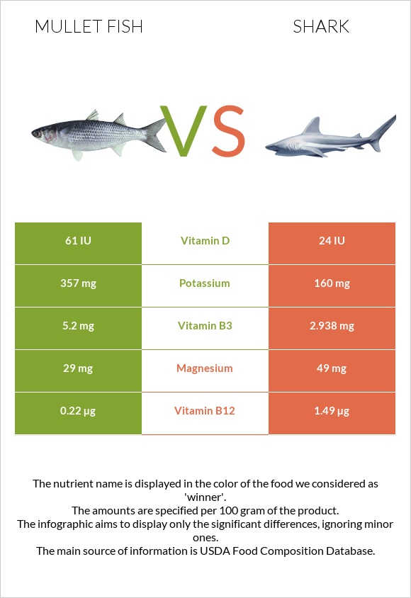 Mullet fish vs Շնաձկներ infographic