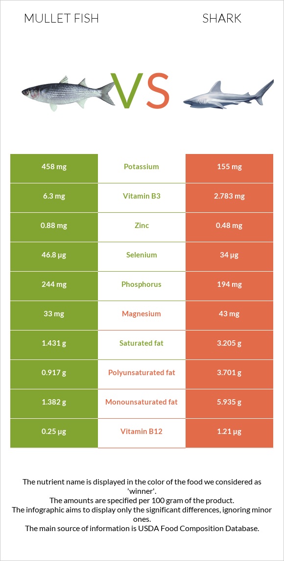 Mullet fish vs Շնաձկներ infographic