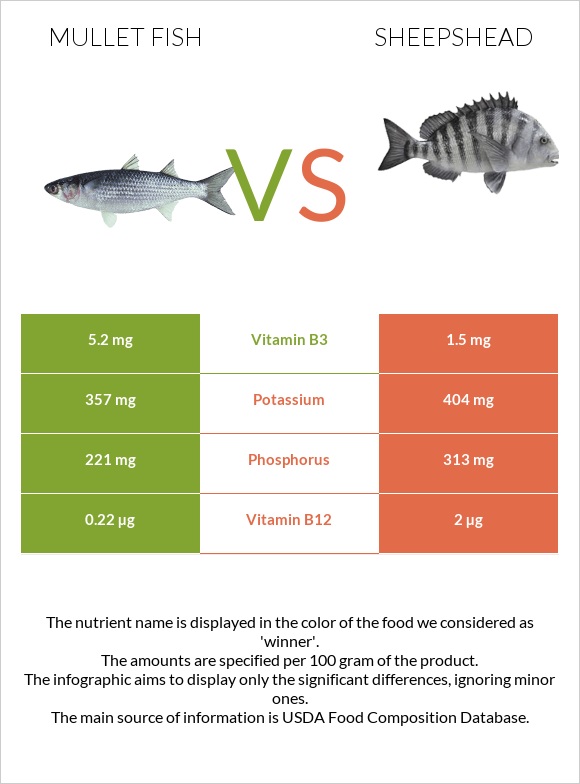 Mullet fish vs Sheepshead infographic