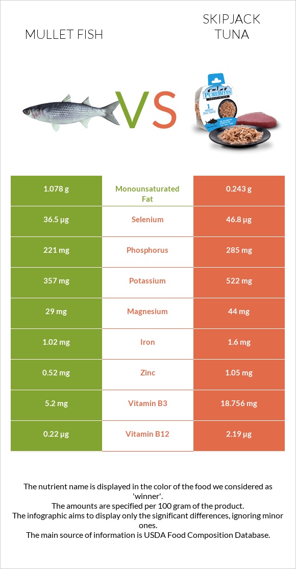 Mullet fish vs Skipjack tuna infographic