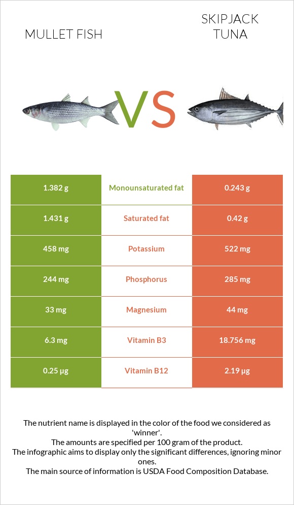 Mullet fish vs Skipjack tuna infographic