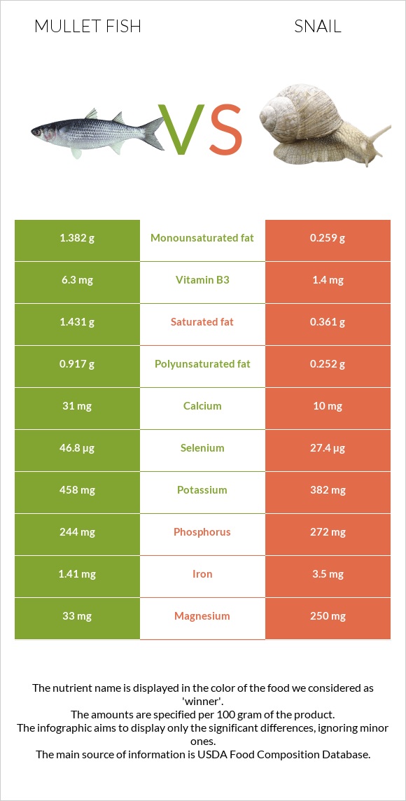 Mullet fish vs Snail infographic