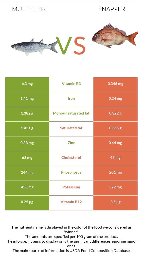 Mullet fish vs Snapper infographic