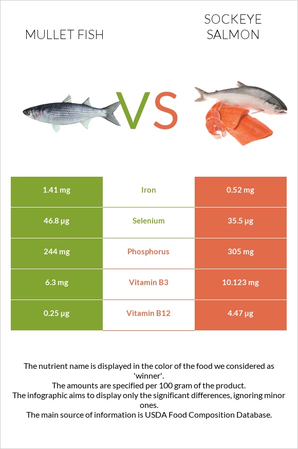 Mullet fish vs Sockeye salmon infographic