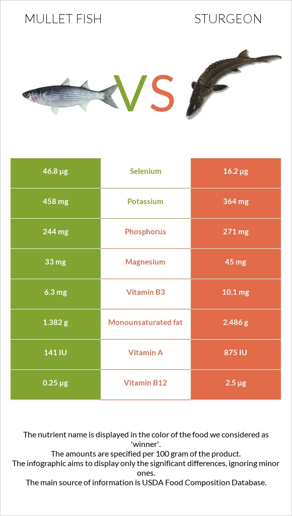 Mullet fish vs Sturgeon infographic