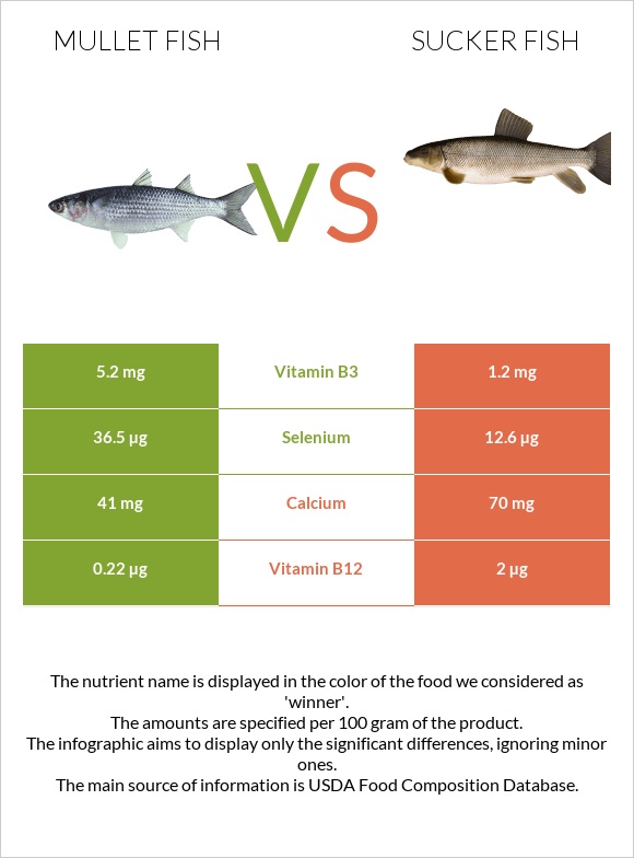 Mullet fish vs Sucker fish infographic