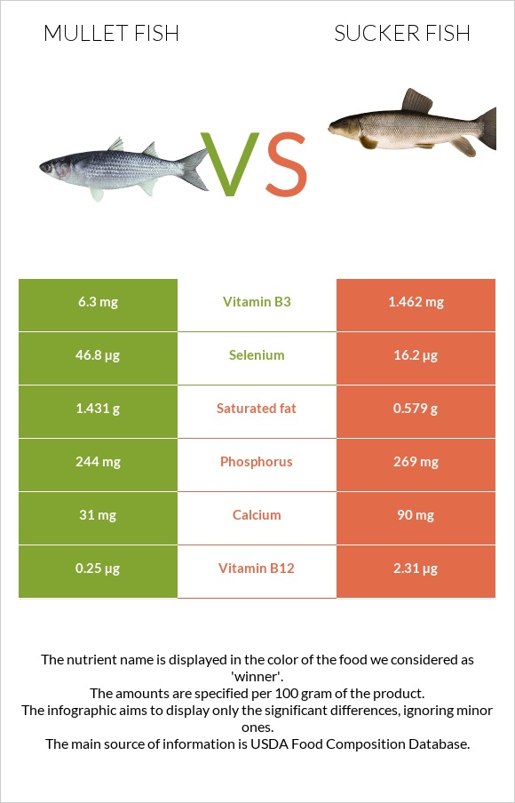 Mullet fish vs Sucker fish infographic