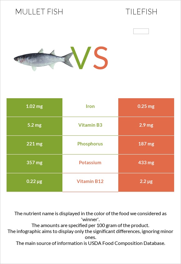 Mullet fish vs Tilefish infographic